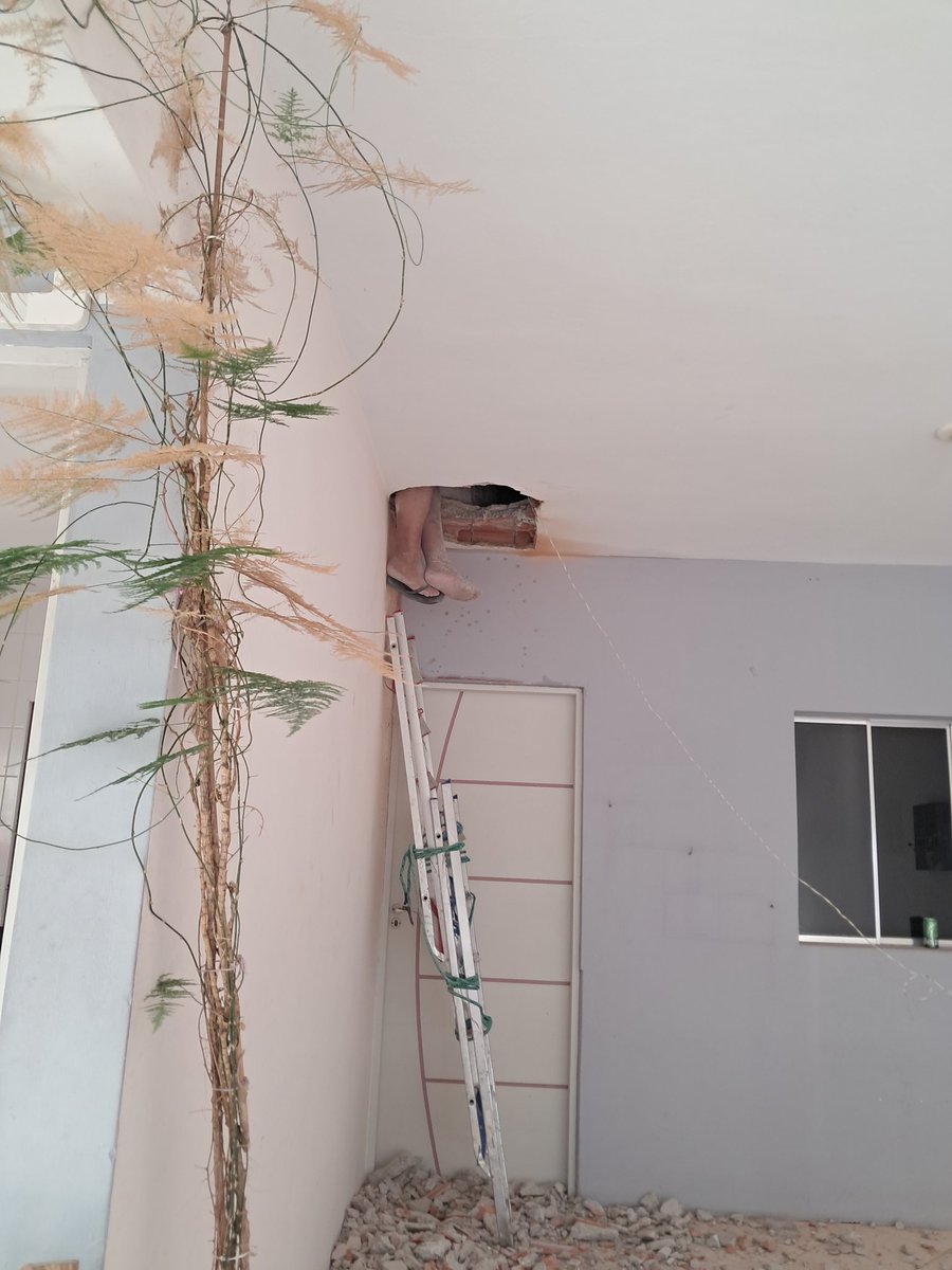 SEIS_VI's tweet photo. Ta eu e o diabo com medo da casa da minha mãe! https://t.co/Y47AFMe88L