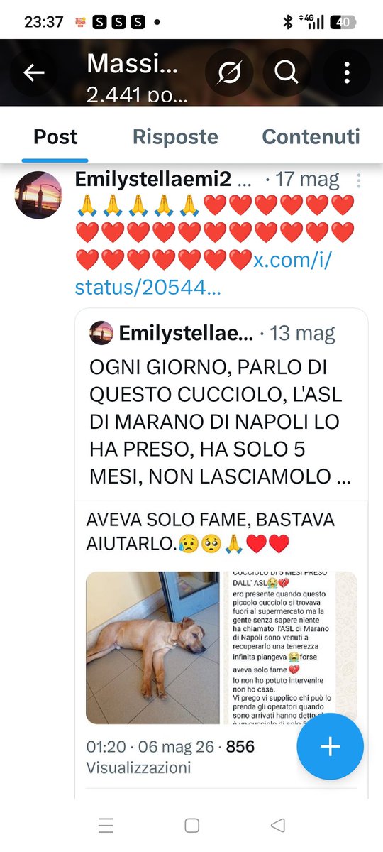 Emilystellaemi2's tweet photo. PIANGEVA FUORI DA UN SUPERMERCATO PERCHÉ AVEVA FAME. HANNO CHIAMATO L'ASL CHE LO HA PORTATO IN CANILE .
HA SOLO 5 MESI E DOVREBBE ESSERE FELICE CON UNA FAMIGLIA E TANTO AMORE ❤️ https://t.co/IyJYzemlY3
