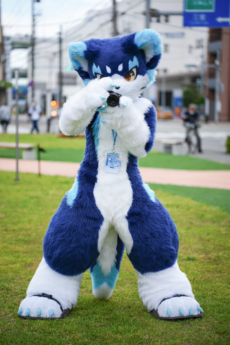mofu91310711's tweet photo. #ケモすて5
#FursuitEveryday https://t.co/v8vbYl9G96