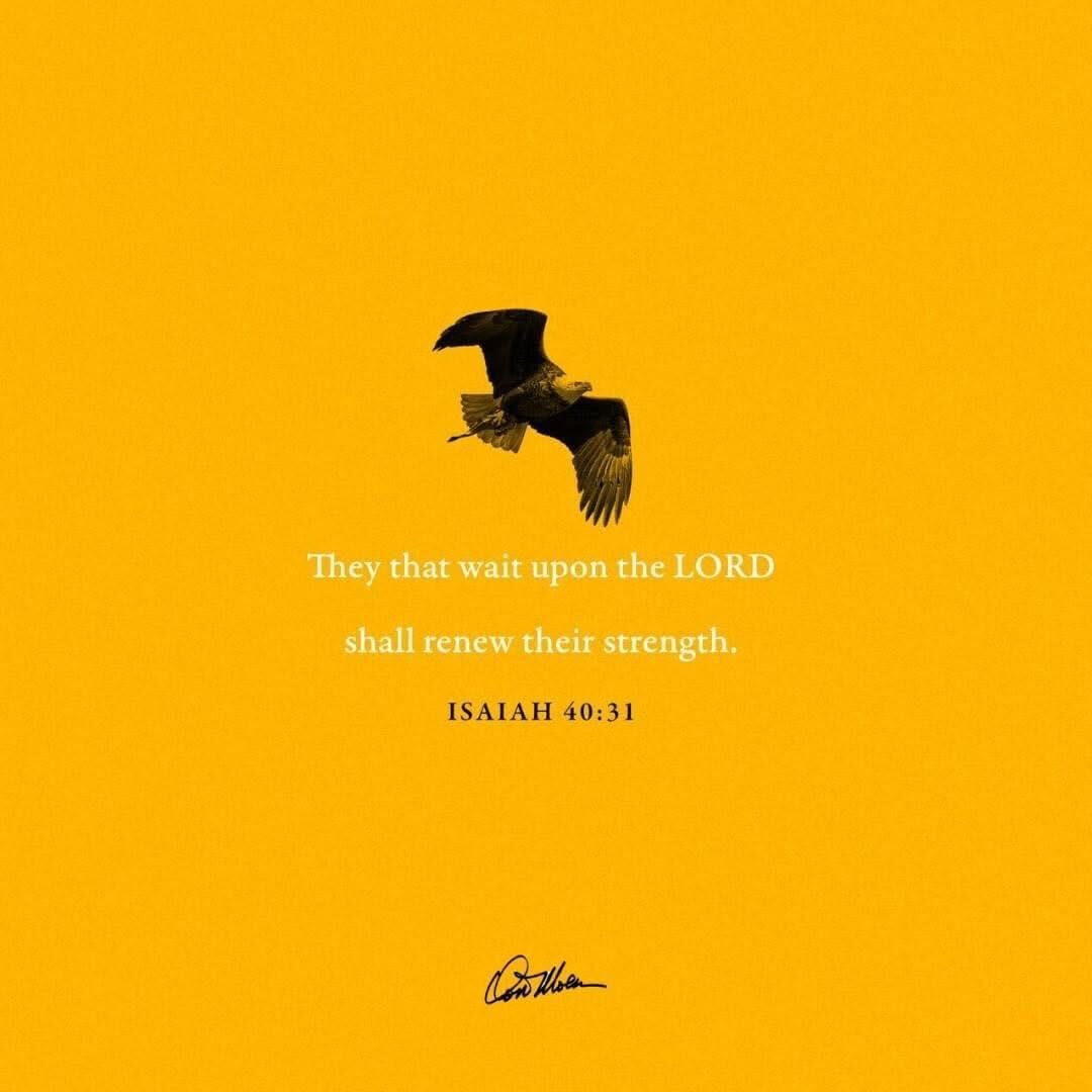 donmoen294's tweet photo. "They shall mount up with wings like eagles, They shall run and not be weary, They shall walk and not faint!"
-Isaiah 40:31
.
.
.
.
.
. https://t.co/tdxWL6i7dy