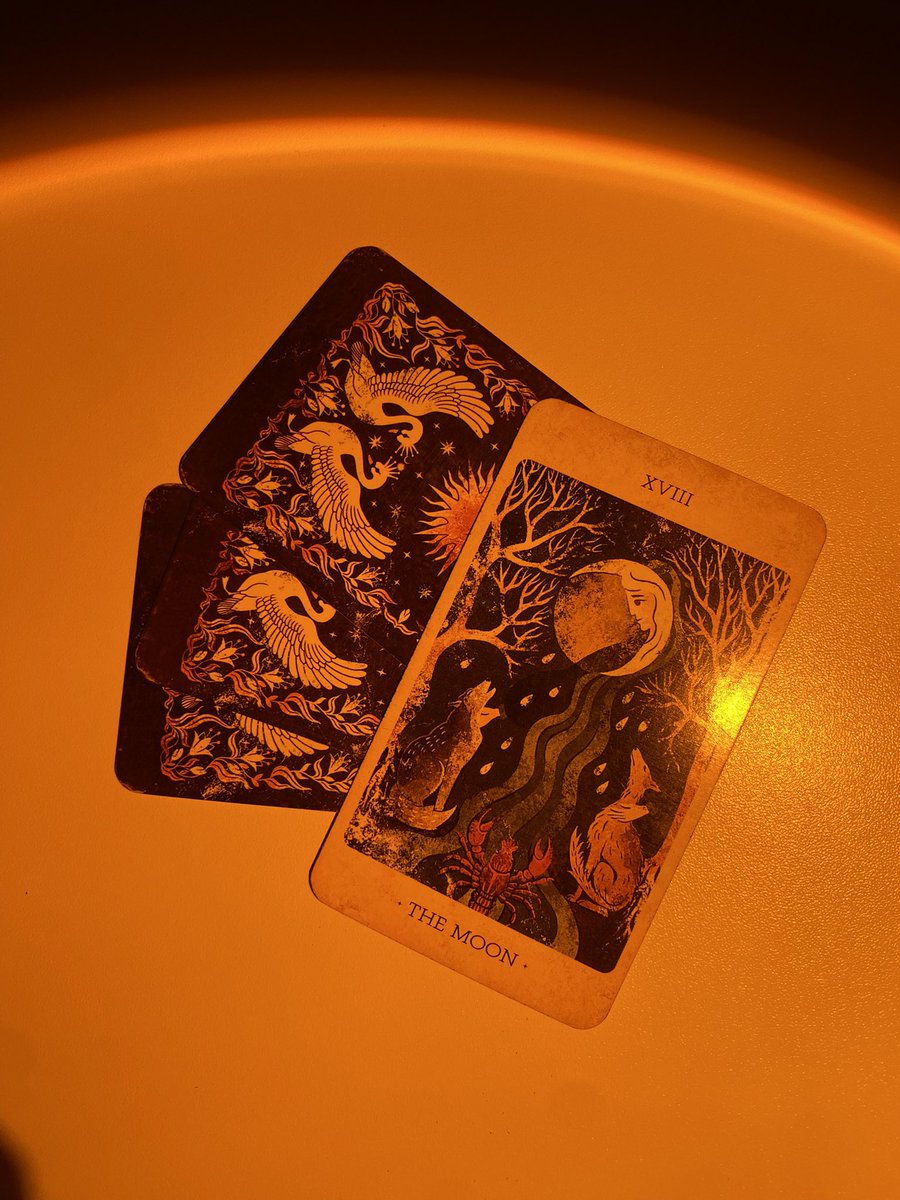 melloracles's tweet photo. ♑️ CAPRICÓRNIO • JUNHO:

Capricórnio, junho pode trazer consigo uma energia confusa. Em alguns momentos, você não irá entender muito bem o que está acontecendo, e algumas decisões serão guiadas pela sua intuição.

O fato é que o passado pode se transformar em um alimento emocional e, em diversos momentos, você poderá se ver caminhando em sua direção ou sendo influenciado por ele — através de traumas, gatilhos e inseguranças.

Em junho, você poderá viver uma fase de transição e, por esse motivo, sentir-se puxado pelo passado e pelo presente ao mesmo tempo. Suas emoções tendem a ficar mais intensas, e será necessário confiar mais na sua percepção e nos seus pressentimentos para seguir em frente.

Com o passar dos dias, você compreenderá melhor o que está acontecendo, enxergando algumas verdades com mais clareza, descobrindo o que estava oculto e se reconectando consigo mesmo.
