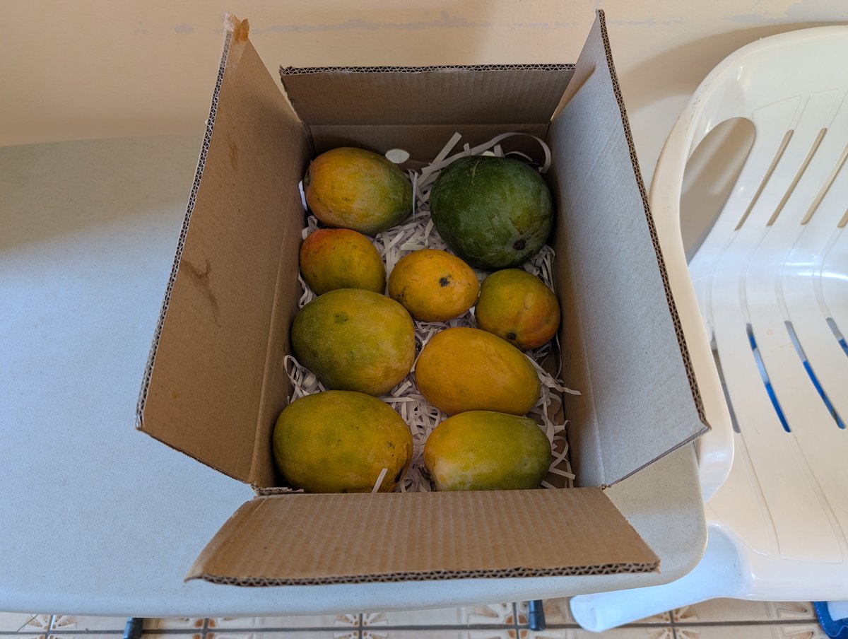 giftofjumuah's tweet photo. A surprise box of mangoes arrived today. 🥭
A beautiful reminder that the provisions of Allāh ﷻ reach us in ways we never expect and at times we never anticipate.
وَاللَّهُ خَيْرُ الرَّازِقِينَ
And Allāh ﷻ is the Best of Providers. https://t.co/nMyTgXMive