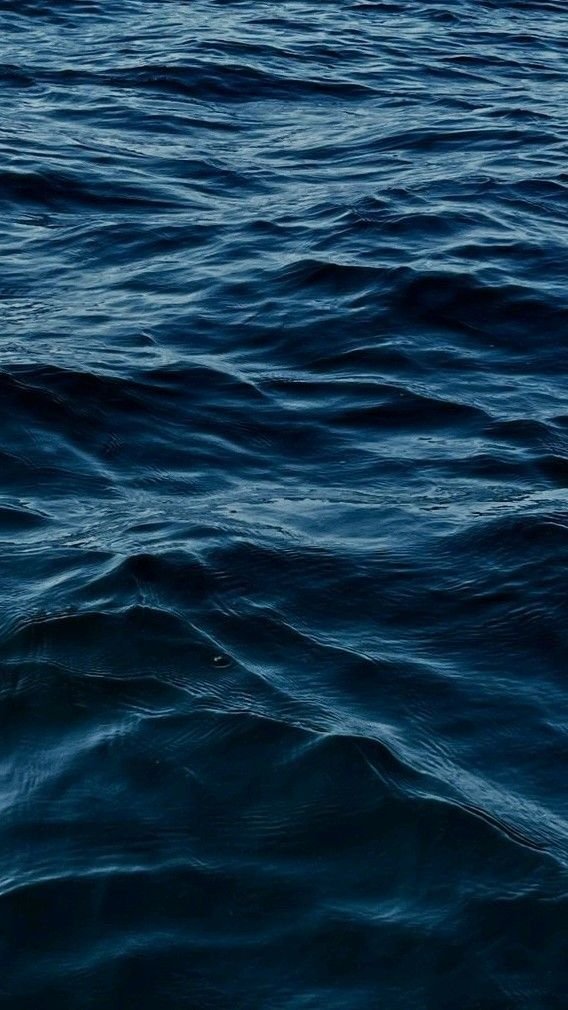purelivn's tweet photo. deep blue https://t.co/vrym3anwHz