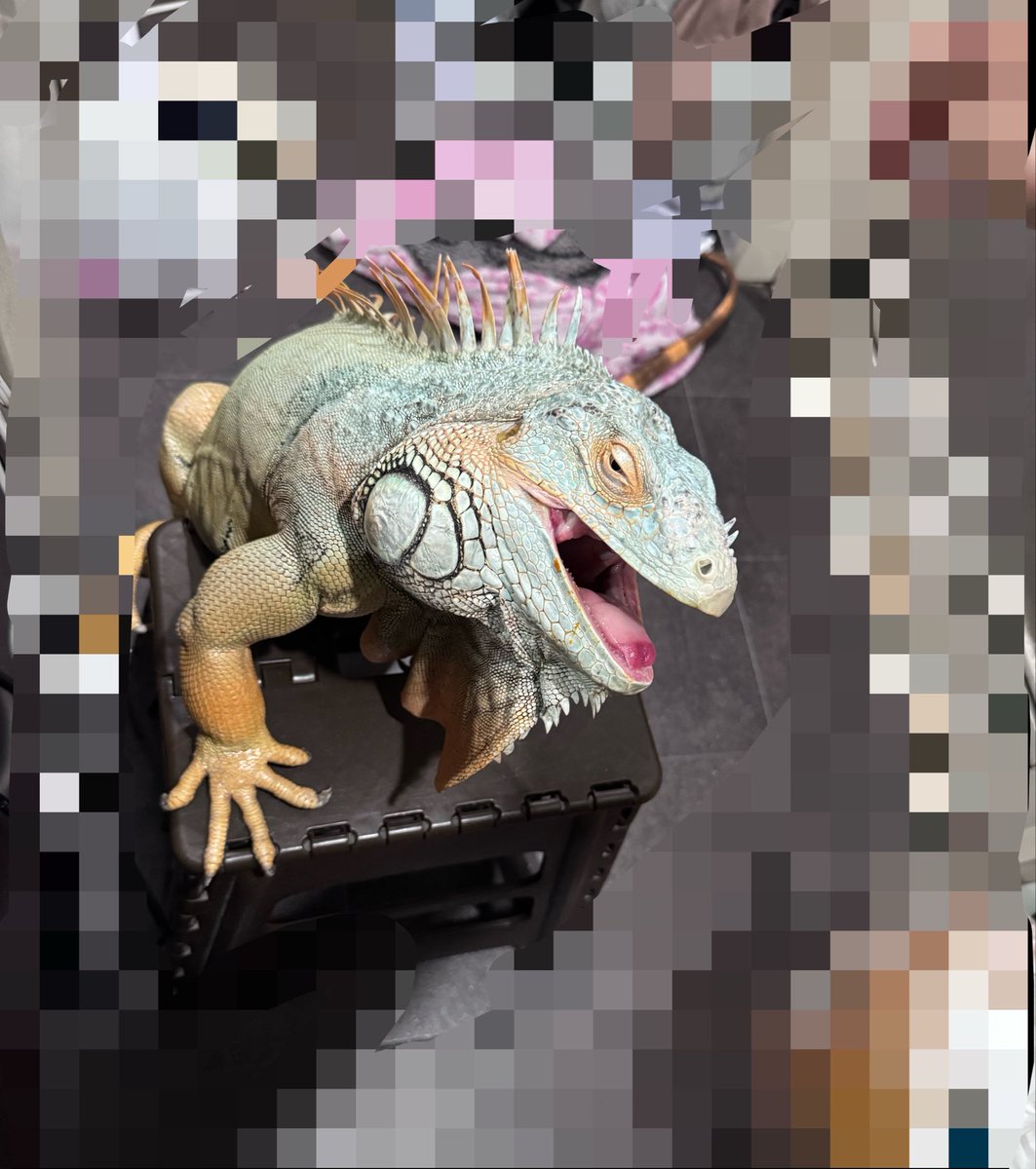 EM963369's tweet photo. 朝から戦って腕をズタズタにしてくれた https://t.co/ITl2zZ5HST