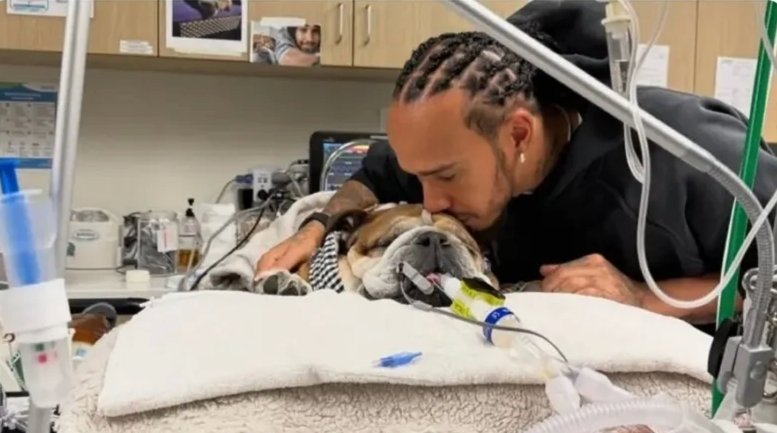 Throwback to when Formula 1 champion Lewis Hamilton withdrew from a Pirelli  tire test with Ferrari to remain with his dog Roscoe after he fell into a  coma