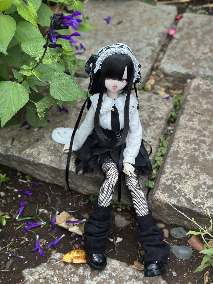 ドール