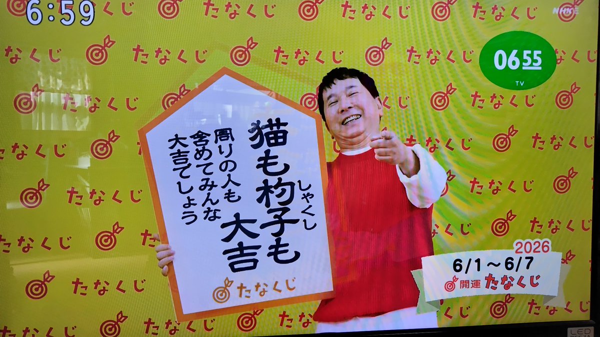 karu_ppo's tweet photo. おはようございまっす！皆大吉だぁー♪ ＼(^-^)／ #Eテレ0655 #たなくじ #たぬくじ https://t.co/EjD8WV2fpi