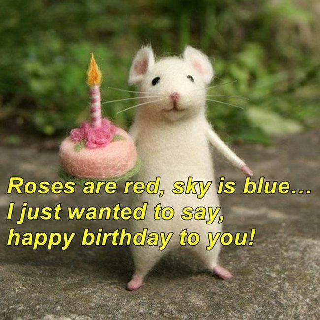 ho_or73's tweet photo. @Axsov1 🥳👵🏻💚💚 https://t.co/ceLNgORXSG