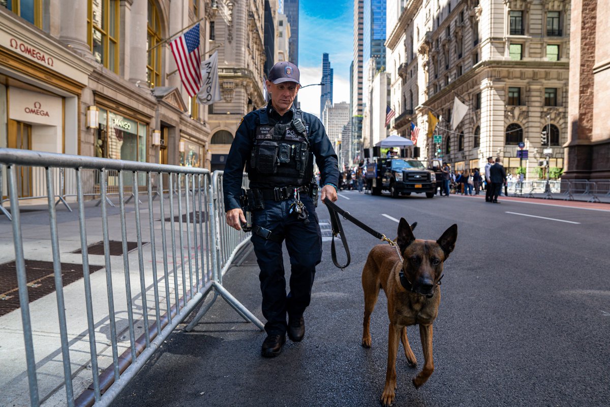 NYPD NEWS tweet media