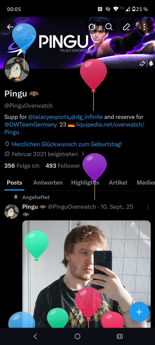 Pingu 🦇 tweet media