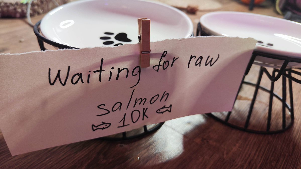 LoshaOnSol's tweet photo. WAITING FOR RAW SALMON 10K. 🐟 https://t.co/1RKsAgF9jz