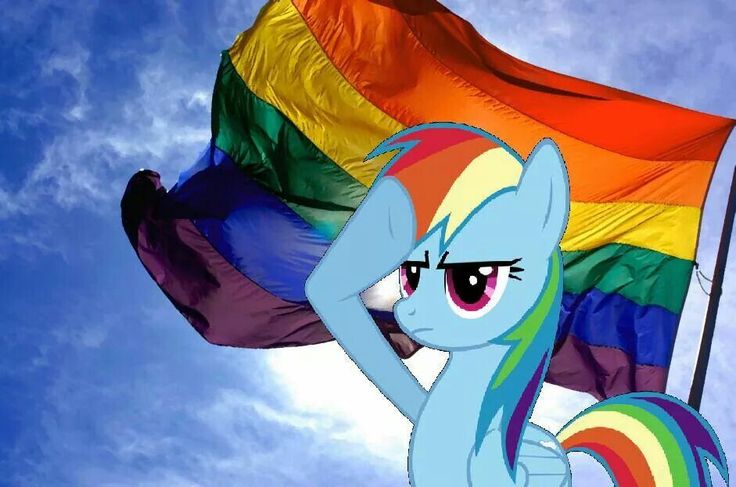 ⋆ ⚢ 🏳️🌈 tweet media