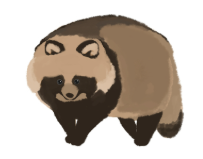たぬき たぬき