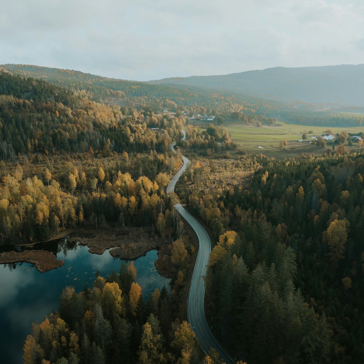 earthcurated's tweet photo. Norway has become one of the leading examples of successful forest conservation!

Through strict environmental regulations, reforestation efforts, and sustainable land management, the country has managed to keep its deforestation rate close to zero.

Instead of losing forests, many areas are now being naturally restored and protected over time.

It's a reminder that long-term environmental planning can make a real difference for the planet. 🇳🇴🌲🌳