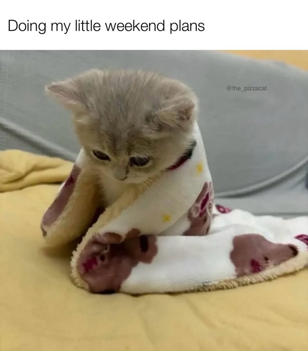 Catsillyness's tweet photo. https://t.co/E2NXBvLo41