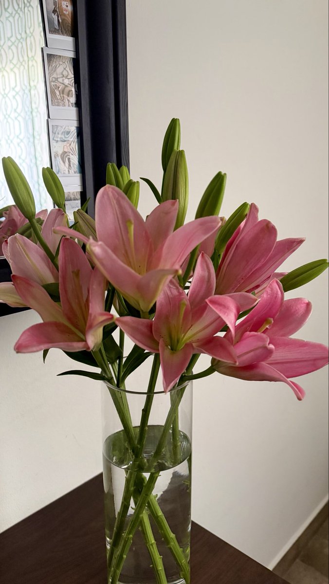 aaalnj's tweet photo. All the love for May, the flowers of May and my first season ♥️☂️ https://t.co/QSHEnxv3Wi