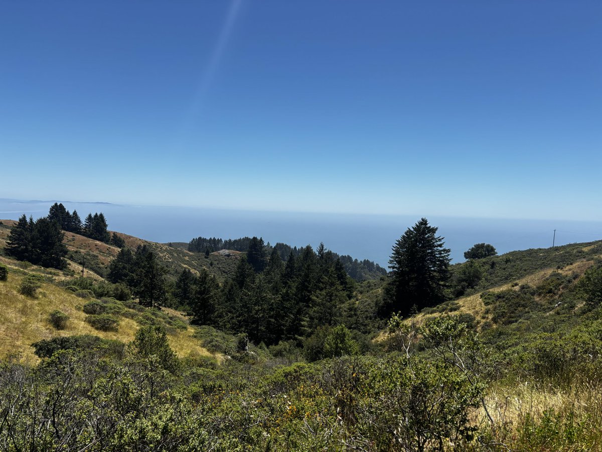 CatOrman1's tweet photo. overseen on the dipsea trail https://t.co/9bmjfchidf