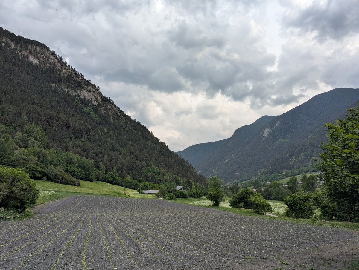 VisualMeteo's tweet photo. 🌤️ #Diumenge | Acabem el mes de maig i la primavera meteorològica amb temperatures d'estiu.

🌡️⬆️ Màximes (°C) a #VisualMeteo:

30.9 #Encamp
30.7 #Escaldes
28.5 #Certés
26.6 #LaCortinada
23.5 #ElsPlans
23.2 #Rubió

📸 La Cortinada i Arans https://t.co/UrQiyWSJrZ