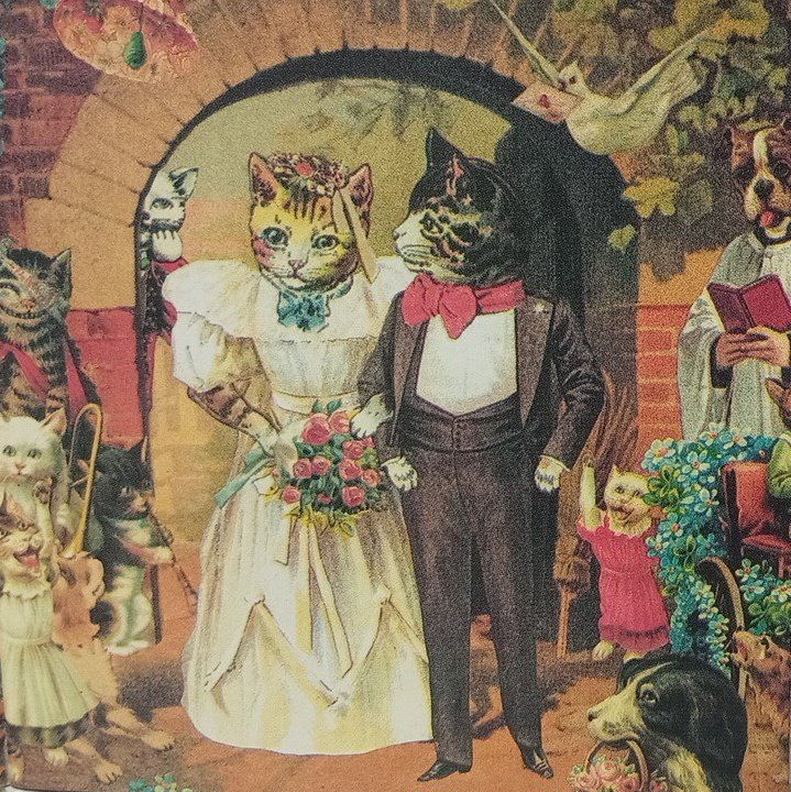 gatomotorista1's tweet photo. Wedding in Fofonia (1979) https://t.co/780URdLzlP