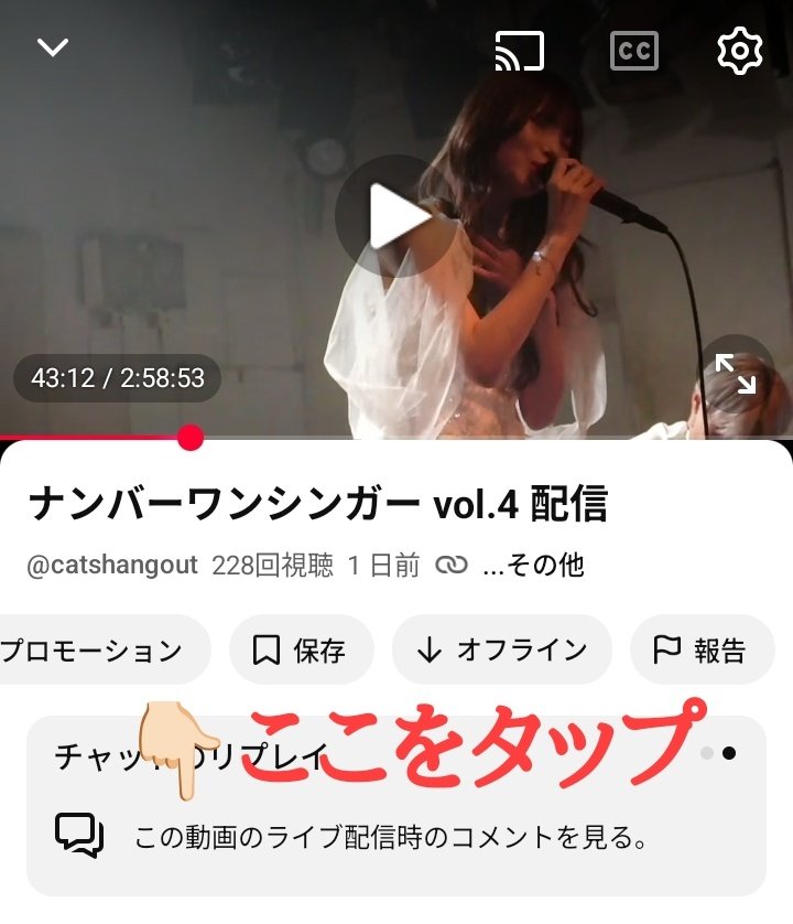 Cat's Hangout tweet media