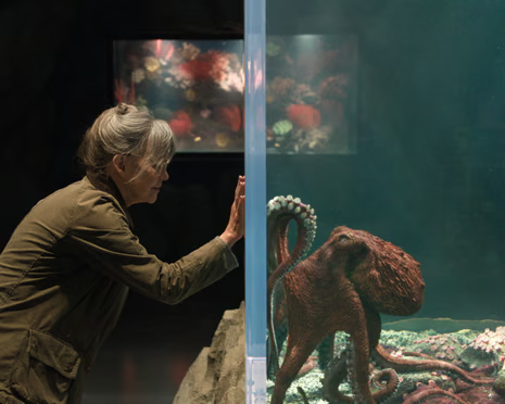 reddens_'s tweet photo. cried over a rock and an octopus in the space of a month ama https://t.co/0vWhFcX3be