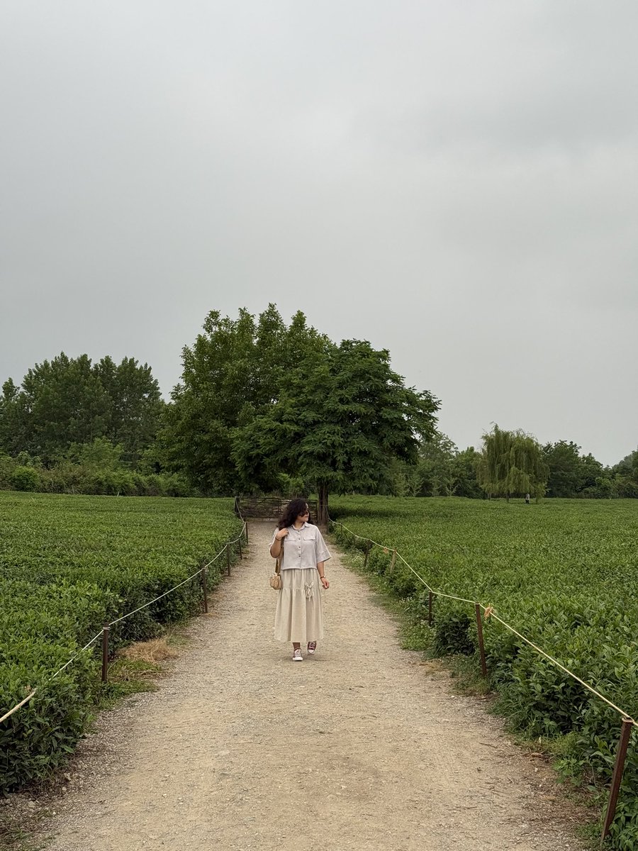 الی tweet media