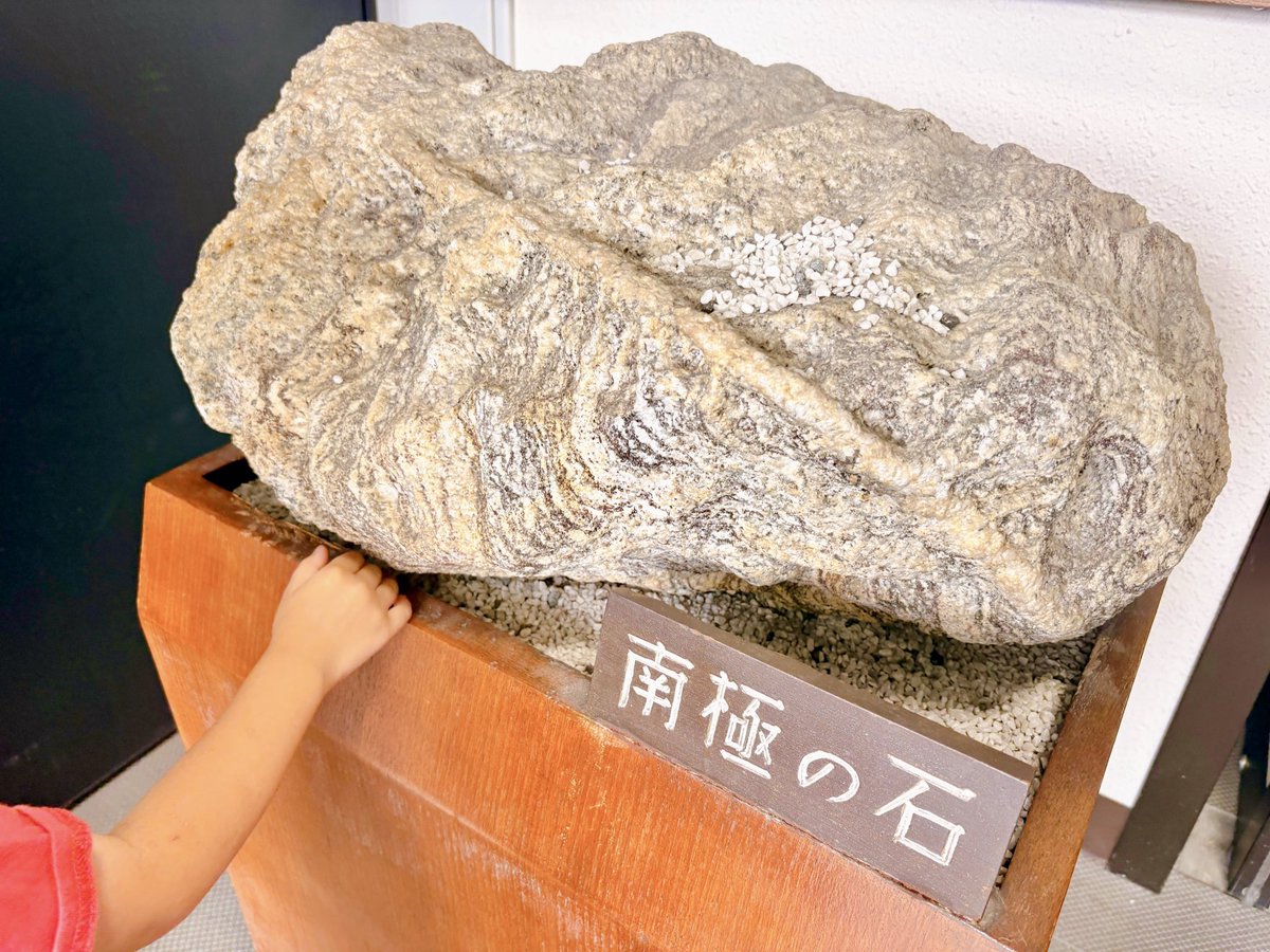 【極上美品】南極の石 3年前と比べると規模縮小かなという感じがしたけど（情勢的に仕方ない
