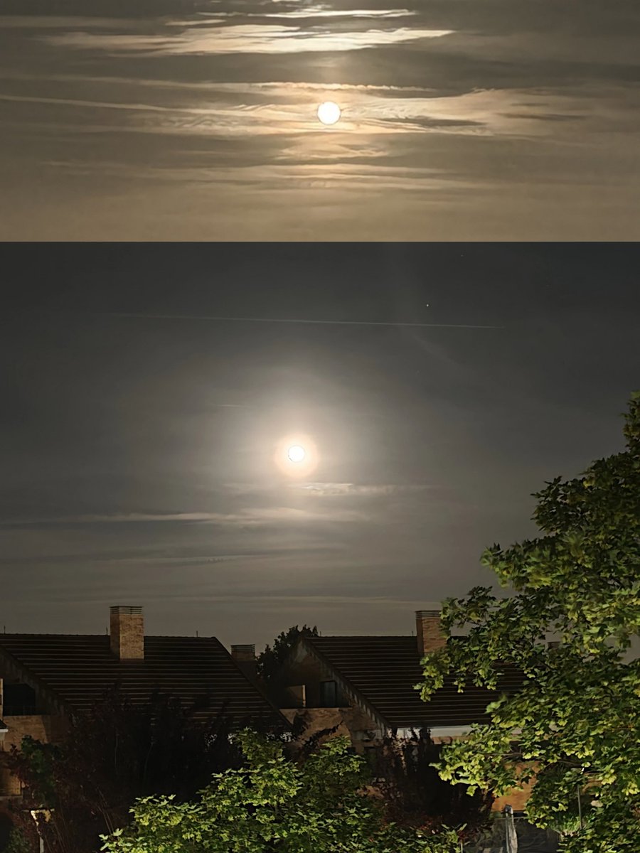 Khrpitu's tweet photo. 📸 1 de junio #Plenilunio 🌕
El horizonte
parió la Luna,
la más chiquita
en mucho tiempo;
bonita como ninguna.
#PoesíaVisual https://t.co/3wKYWqquJo