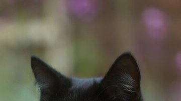 idiot_tube's tweet photo. https://t.co/WLmY1I3AZk