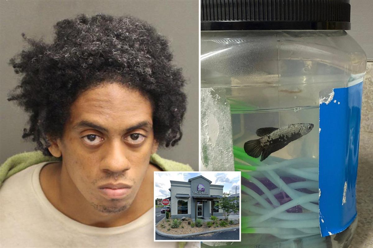 nypost's tweet photo. Cops bust creep carrying pet fish and exposing his 'chimichanga' outside Florida Taco Bell https://t.co/4W2qFijqqb https://t.co/MkFTjTIHbE