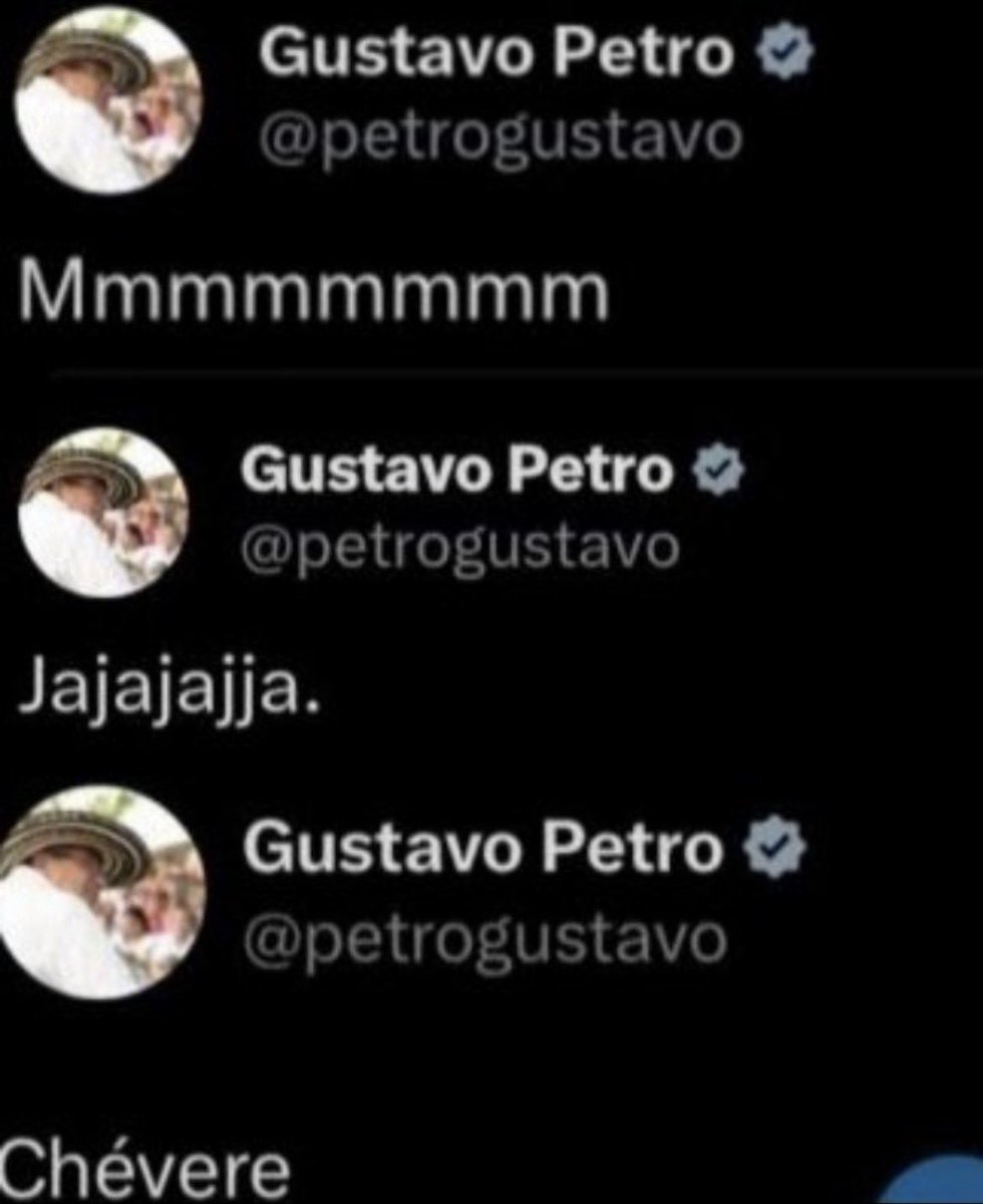 camila tweet media