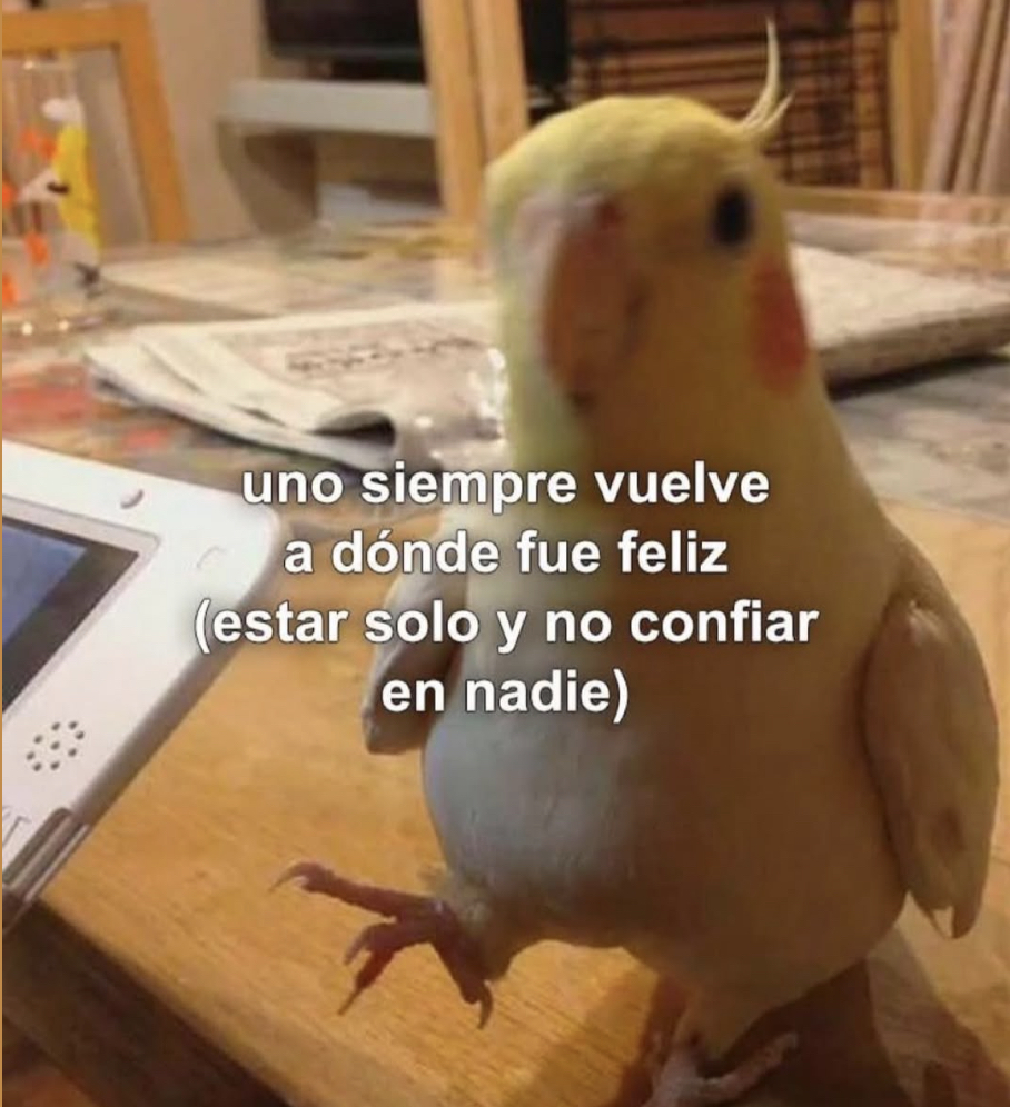 Guarromantico_'s tweet photo. Siempre vuelve. https://t.co/Q7sDnmyzji