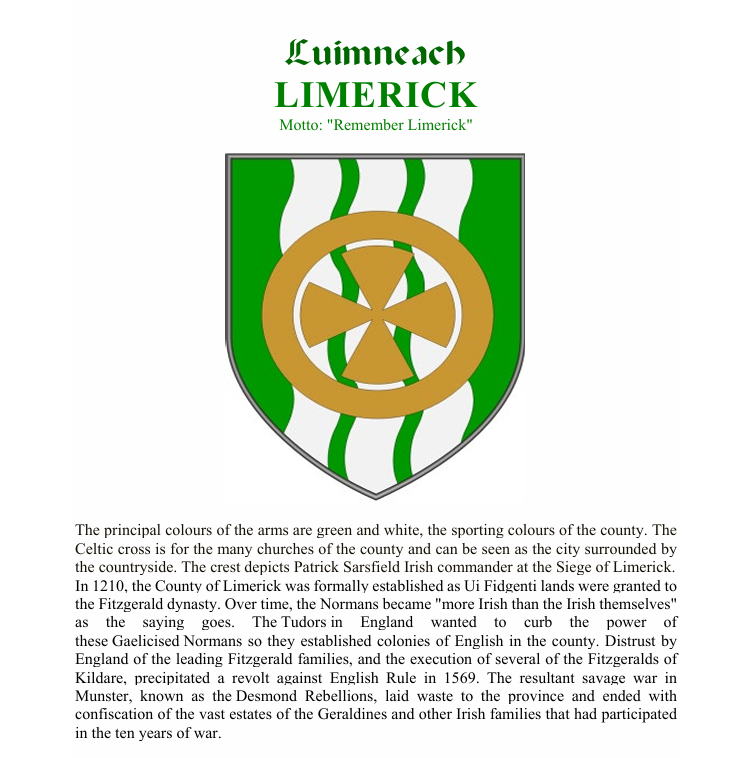 KeithMillsD7's tweet photo. The second of my #countyflags is Limerick county. I'll do the city later.  I also include the symbolism of the crest at the heart of the flag. https://t.co/qxJJayGnhl