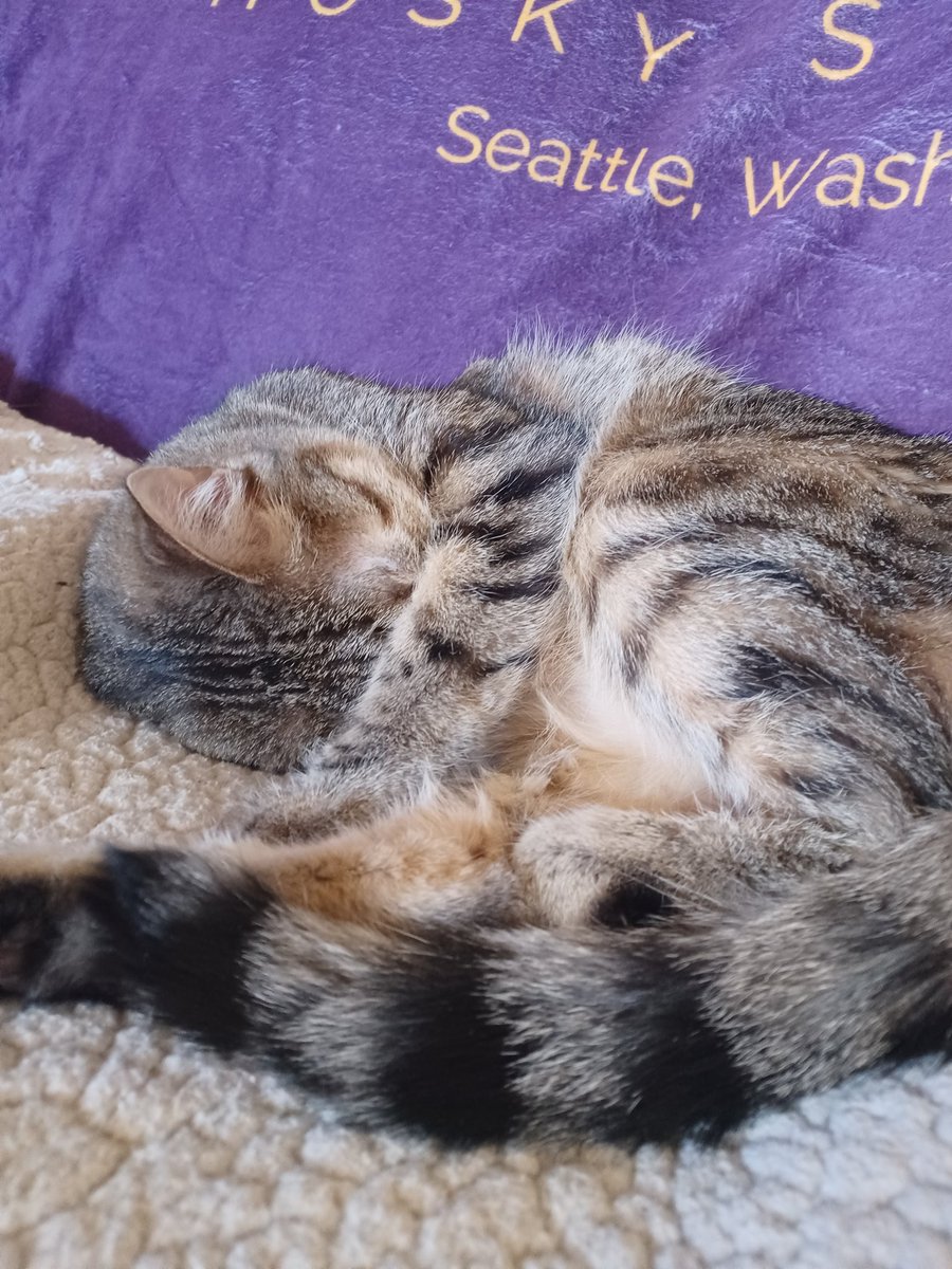 rust454's tweet photo. #WeeklyLilyPics I missed last week so I'll post extra https://t.co/2oViBCLUYc
