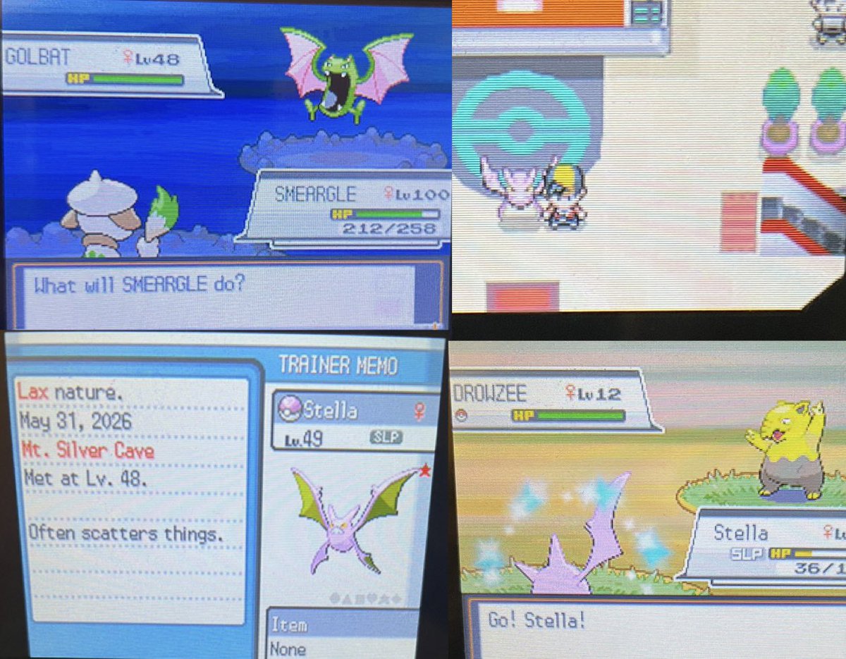 Lizred18's tweet photo. Phase 10 lost the coin flip 5 percent bat #ShinyPokemon https://t.co/nRIBKxOGjH