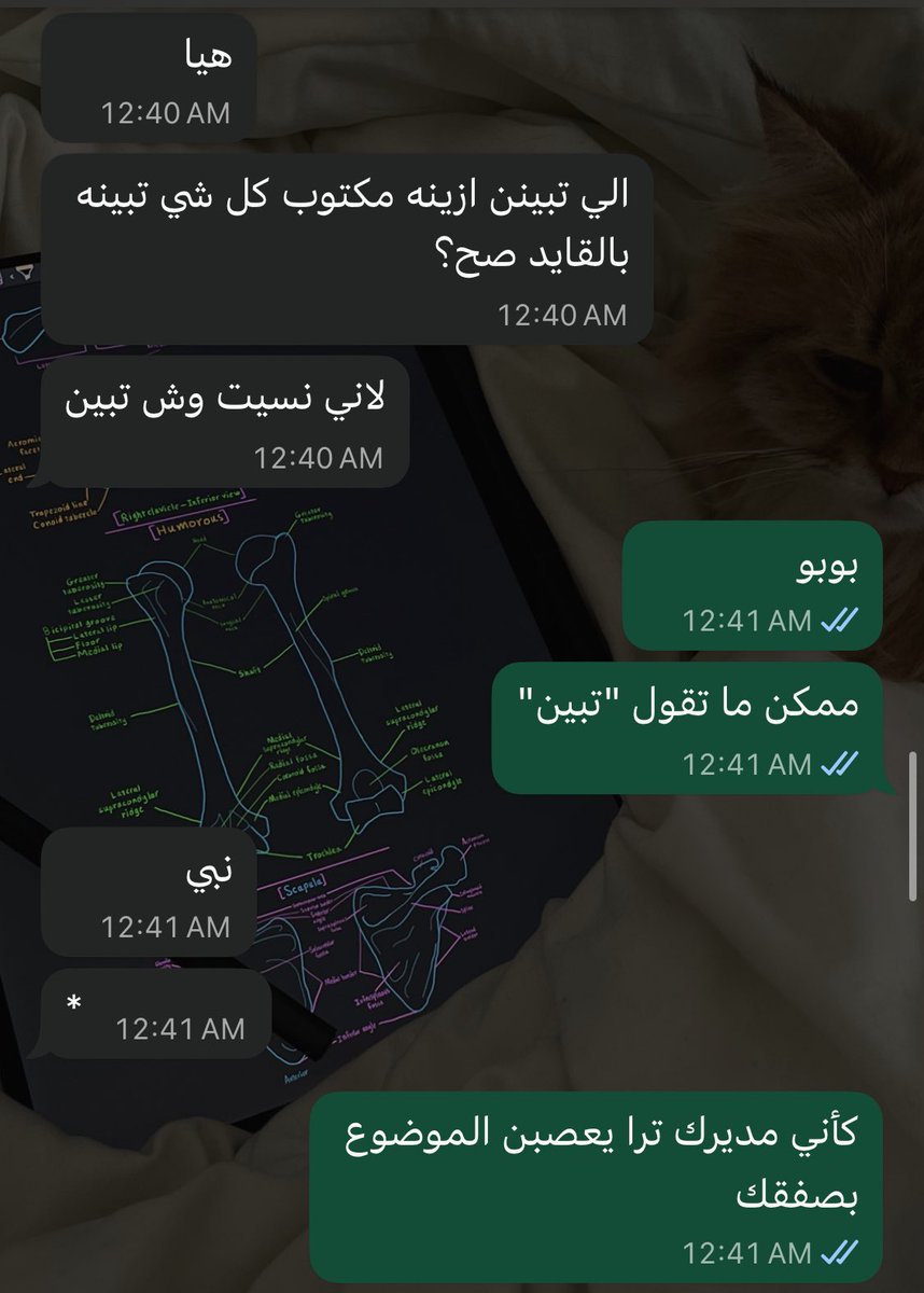 hayafiles's tweet photo. Team work btw https://t.co/eBg4kYr1Q2