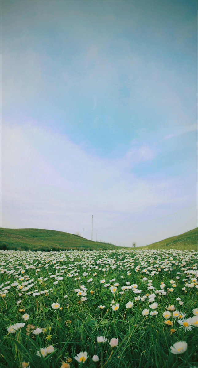 eithertc's tweet photo. Early looks incredibly $AESTHETIC ✨

GBmcLQHbvK6ufBR4fnobU7icdBx6NwHe7yorPbhYpump https://t.co/L7KLLCHWl8