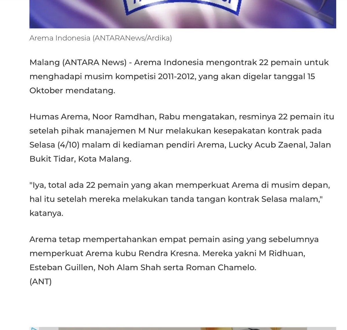 Calico illustration tweet media