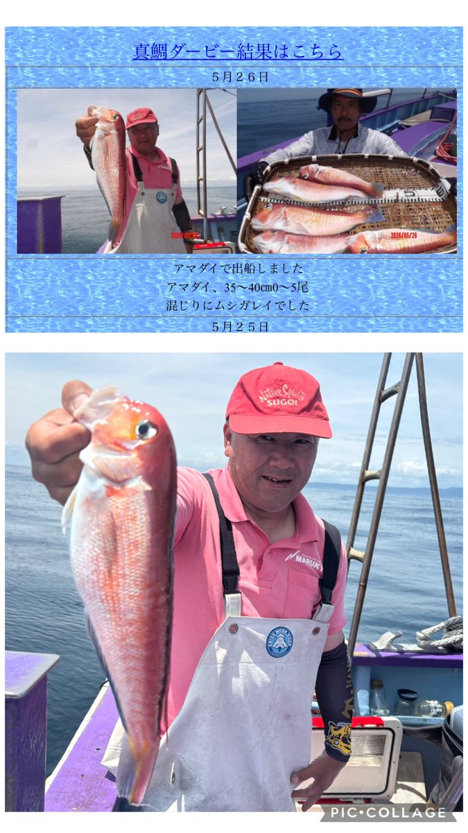 phideki1's tweet photo. 2026.5.26＆5.30釣果報告
久々のオフショアは甘鯛です。
意気揚々と行くと時化明け二枚潮…釣果2本で【終】でした。

悔しくて即リベンジマッチ、貧乏人なので無料券を召喚です。
しかし今度は満席影響でお祭りラッシュ…結果は2本で【糸冬】でした。

キャッチ不満もイートを満喫…次回は頑張ります。 https://t.co/ryMxmsZV4Q