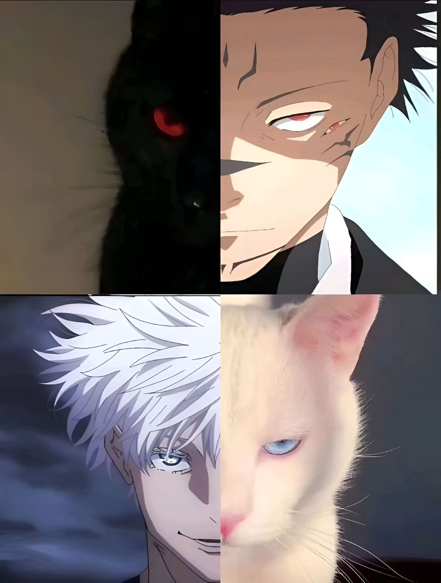 anime_shots's tweet photo. Same energy https://t.co/3sep2y9blg