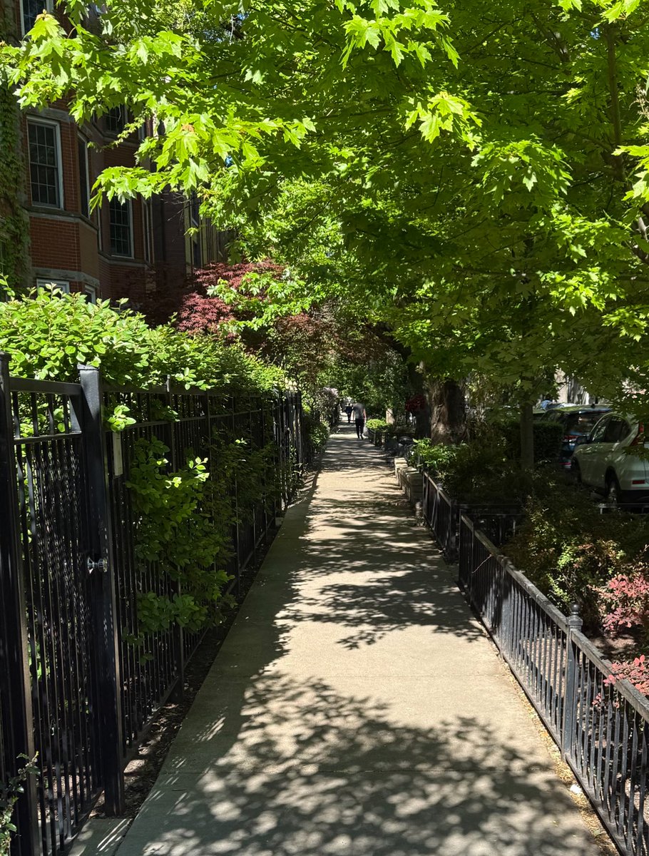 lordesghoul's tweet photo. Chicago is green https://t.co/Rd2zYgB8kC