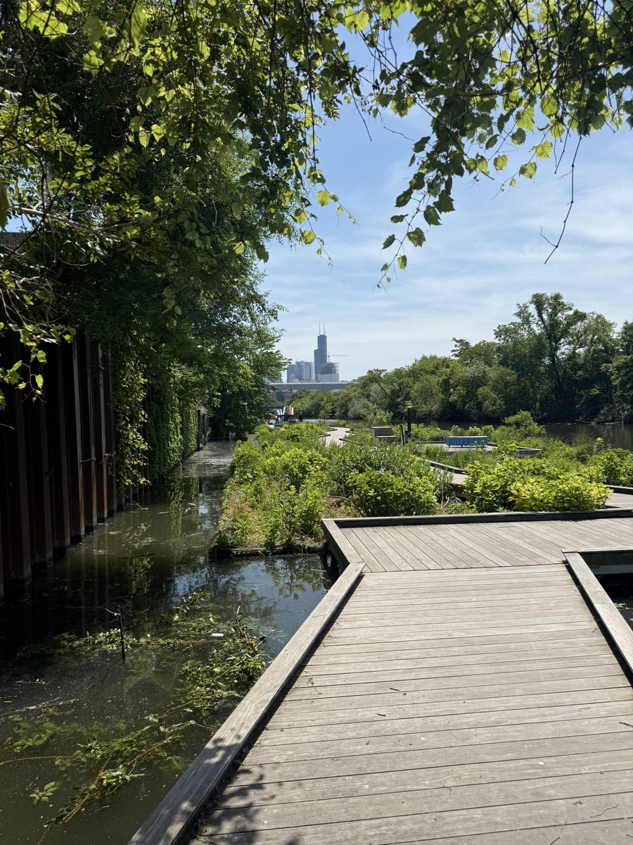 lordesghoul's tweet photo. Chicago is green https://t.co/Rd2zYgB8kC