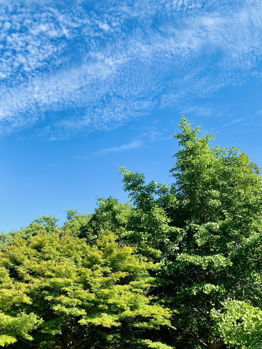 nacocco's tweet photo. 5月はお気に入りのキャンプで夫婦キャンプ2回。 お天気にも恵まれて楽しかった！

#5月のキャンプを写真4枚で振り返る https://t.co/Fklsei5mEy