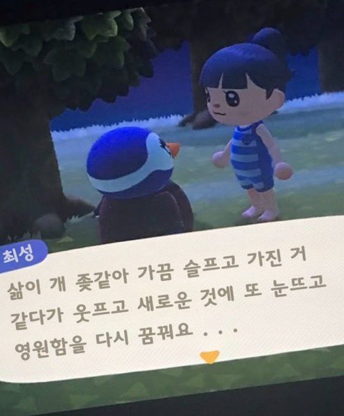 메즈 tweet media