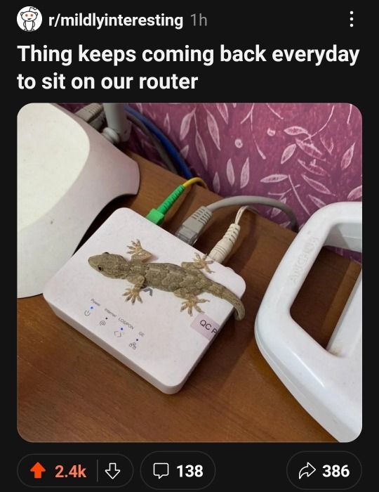 redditbutfunny's tweet photo. https://t.co/X9HBG8F4aD