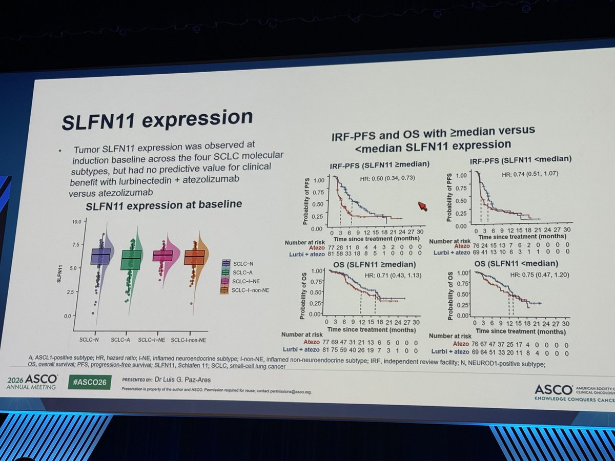 chulkimMD's tweet photo. Transcriptomic analysis of #IMforte (maintenance lurbinectedin + atezolizumab): Benefit appeared across SCLC molecular subtypes and regardless of SLFN11 expression; an intriguing signal noted with the combination in the high TAM/high T-eff subgroup.

#ASCO26 https://t.co/YwF846aCG6
