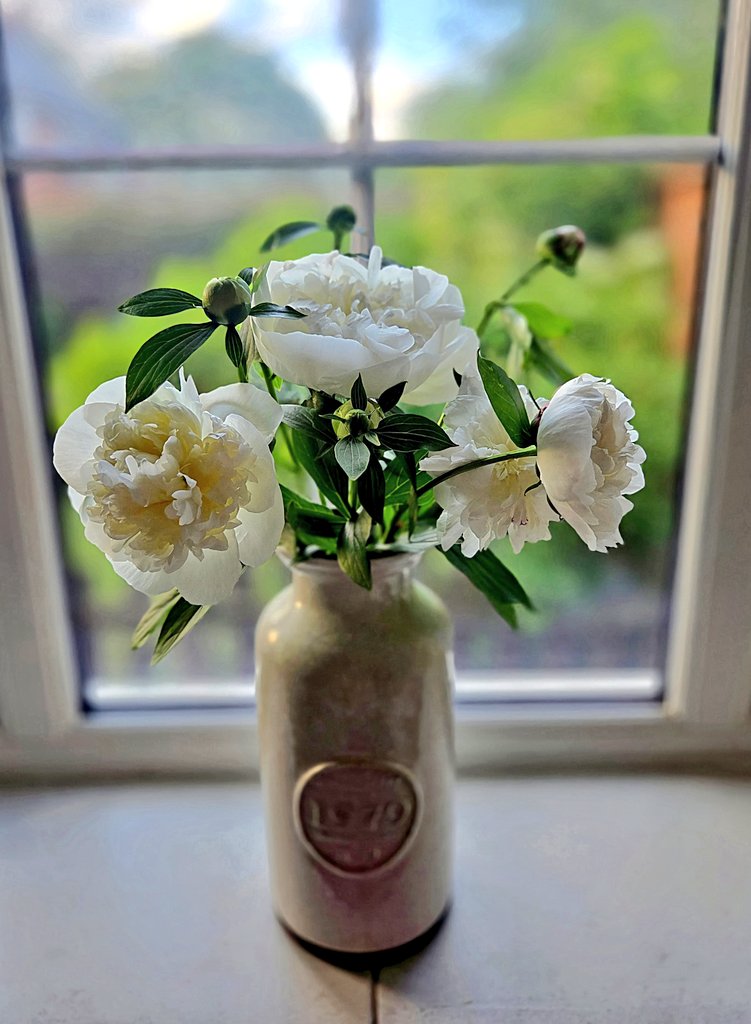 JemwithaJ's tweet photo. Alan who? 🌸 https://t.co/x7qe0hVLsV