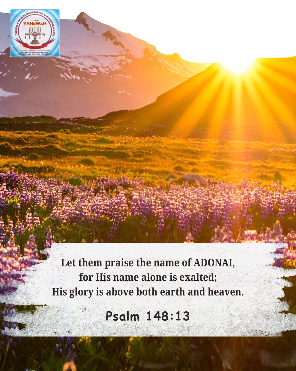 aymc2003's tweet photo. YAHsWaH, blessed be His glorious name, alone is exalted. His glory stands above earth and heaven. Worship belongs to Him. 🙌

#DailyDevotional #PraiseTheADONAI #WalkInHisName #MessianicTwitter https://t.co/wmnUsyClmH