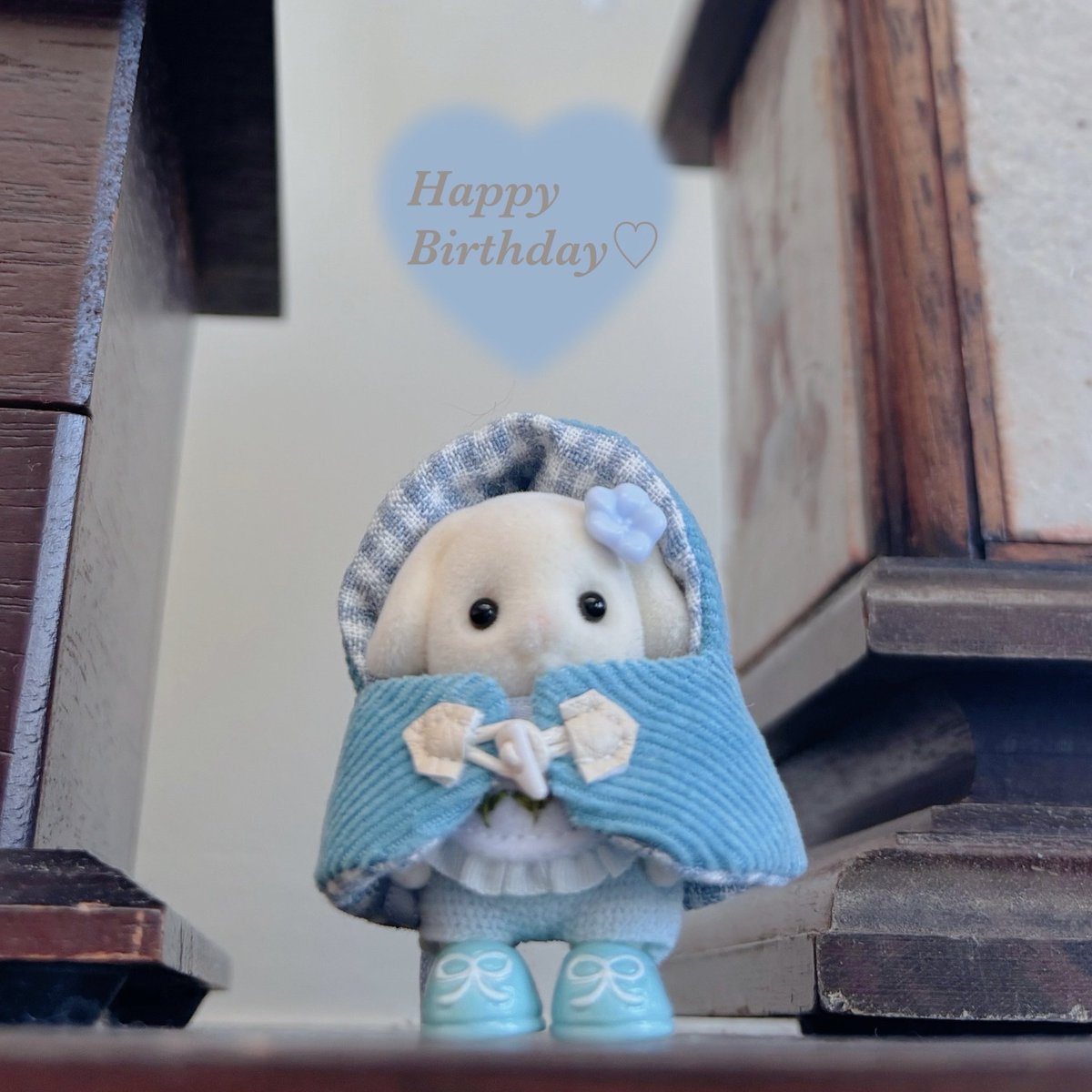 pale_____25's tweet photo. 5/31ᐢ. ̫. ᐢお誕生日おめでとう🎂💐
私がシル活にハマるきっかけを作ってくれた大切なバニアちゃん🩵
これからもよろしくね🤝✨️
(お誕生日本当は昨日です😢ややこしいポストごめんなさい🙇‍♀️💦) https://t.co/Q74IynrCFV