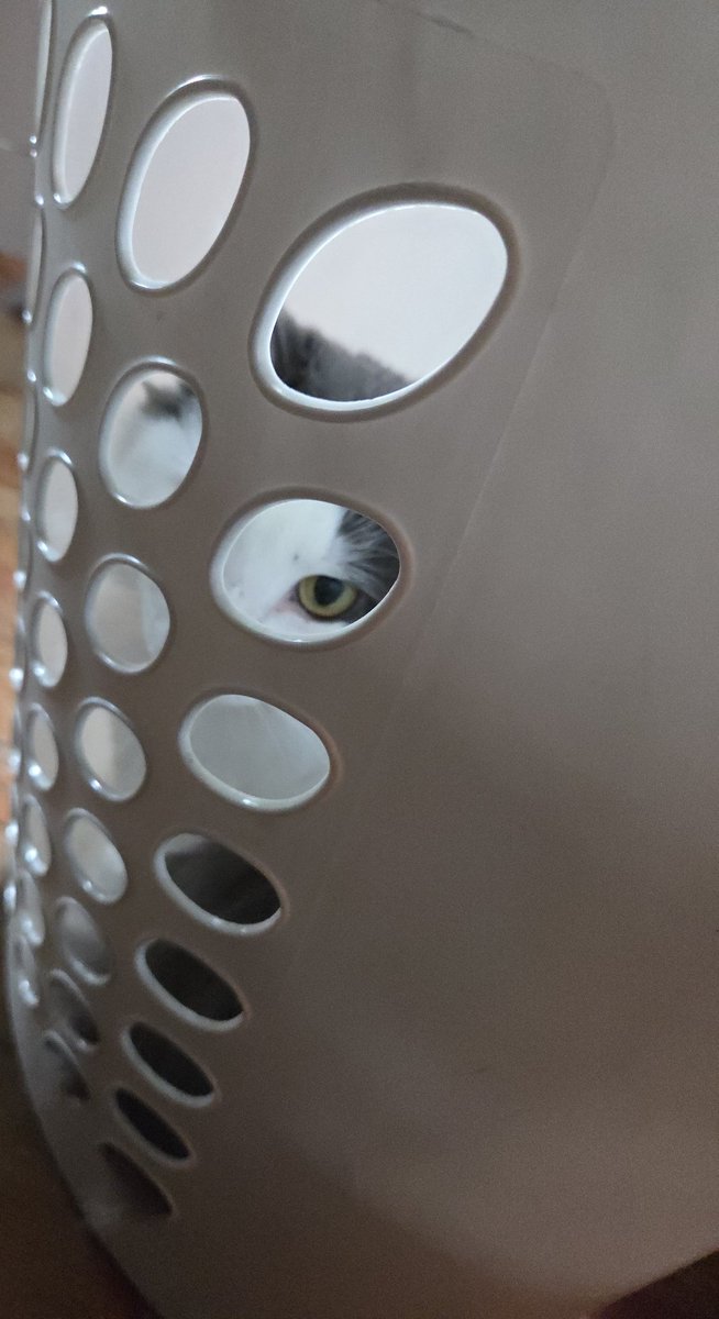 mizzer0's tweet photo. "Well, Clarice, have the lambs stopped screaming?" https://t.co/fh9wsOyfGb
